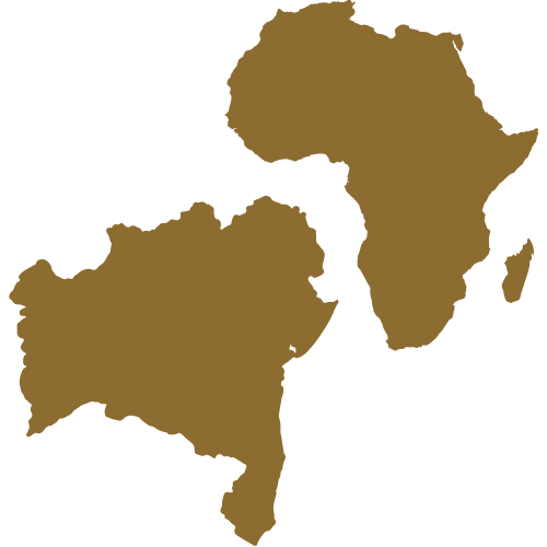 Espelhamento Afrodiaspórico